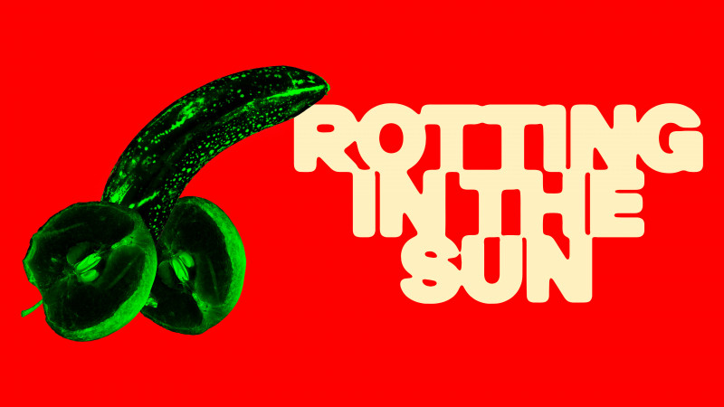 Film: “Rotting in the Sun”