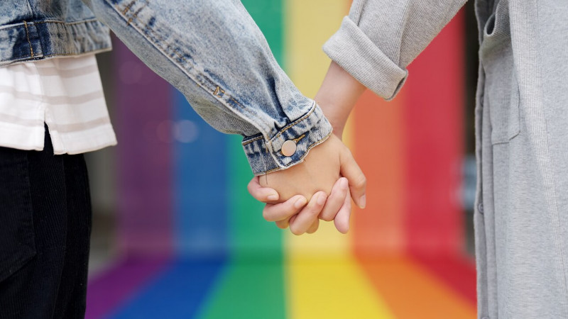 Court in Lithuania recognises lesbian couple as a family
