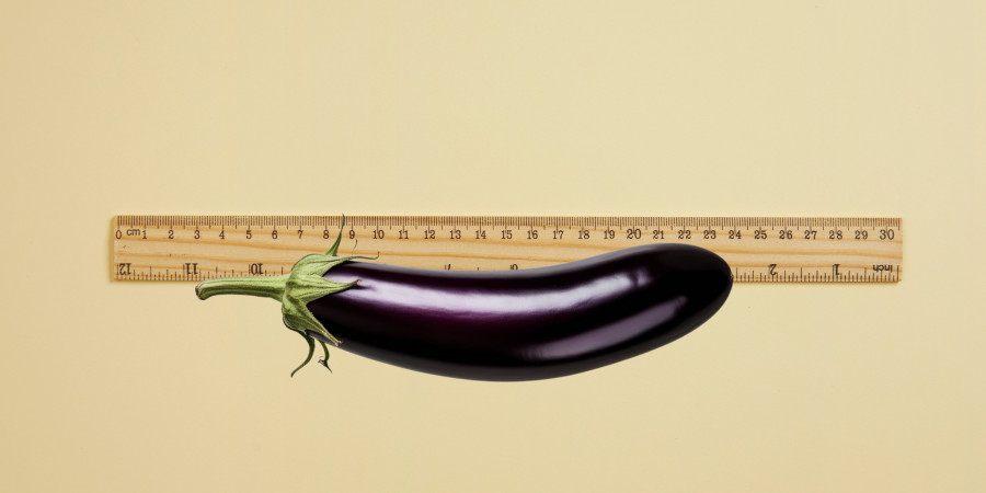Scientists studied the evolutionary reasons for penis size