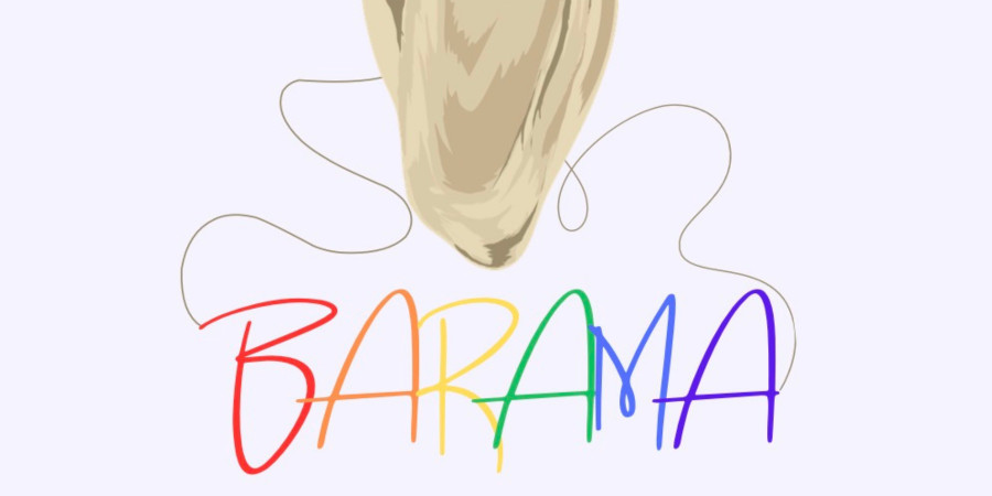 Barama Evi published the 3rd survey summary with the public