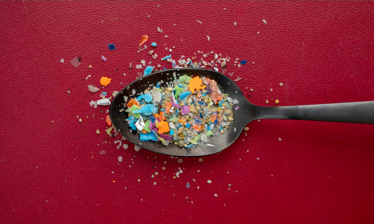 Microplastics are infiltrating brain tissue